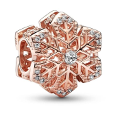 Charm Pandora Moments