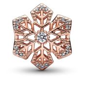 Charm Pandora Moments