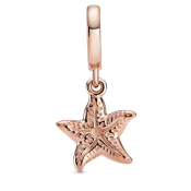 Pandantiv Pandora Moments