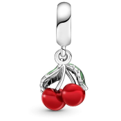 Obesek Pandora Moments