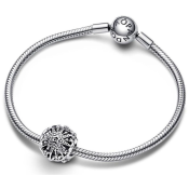 Charm Pandora Moments