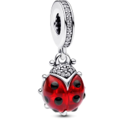 Pandantiv Pandora Moments