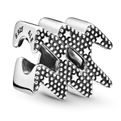 Charm Pandora Moments