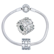 Charm Pandora Moments