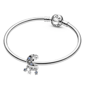 Charm Pandora Moments