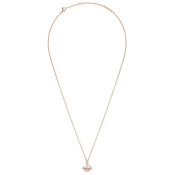 Daniel Wellington Aspiration