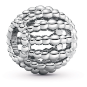 Charm Pandora Moments