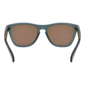Oakley Frogskins PRIZM Polarized