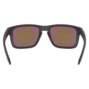 Oakley Holbrook PRIZM