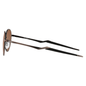 Oakley Terrigal PRIZM