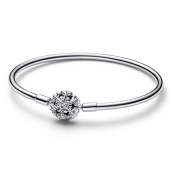 Zapestnica Pandora Moments