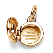 Obesek Pandora Moments