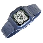 Casio Collection
