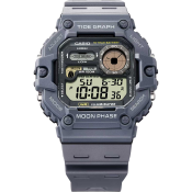 Casio Collection