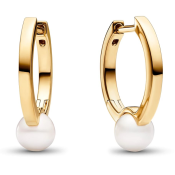 Uhani Pandora Timeless