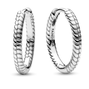 Pendientes Pandora Moments