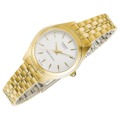 Casio Collection