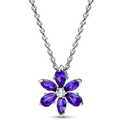 Ogrlica Pandora Timeless