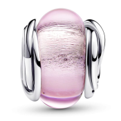 Charm Pandora Moments