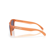 Oakley Frogskins