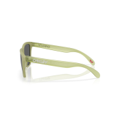 Oakley Frogskins