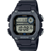 Casio Classic