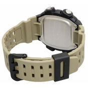Casio Classic