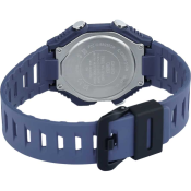 Casio Collection