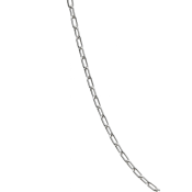 Catena d'argento, design delicato