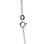 Catena d'argento, design delicato