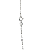 Catena d'argento, design delicato