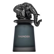 French Avenue Thunder parfémovaná voda pre mužov 100 ml