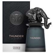 French Avenue Thunder parfémovaná voda pre mužov 100 ml