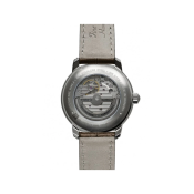 Zeppelin Friedrichshafen