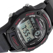 Casio Timeless