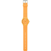 Casio Timeless