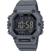 Casio Timeless