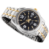 Casio Timeless