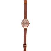 Casio Timeless