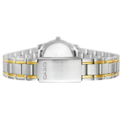 Casio Timeless
