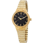 Timex Viewpoint