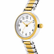 Timex Viewpoint