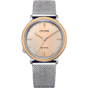 Citizen L Ambiluna