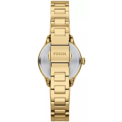 Fossil Gilmore