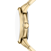Fossil Townsman
