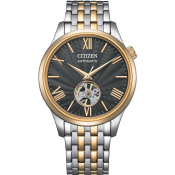 Citizen Mechanical