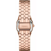 Fossil Harlow