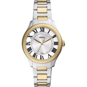 Fossil Gilmore