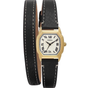 Fossil Harlow