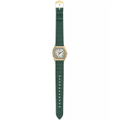 Fossil Harlow